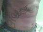 NUTTCASE side1 tattoo