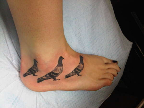 Pigeons tattoo