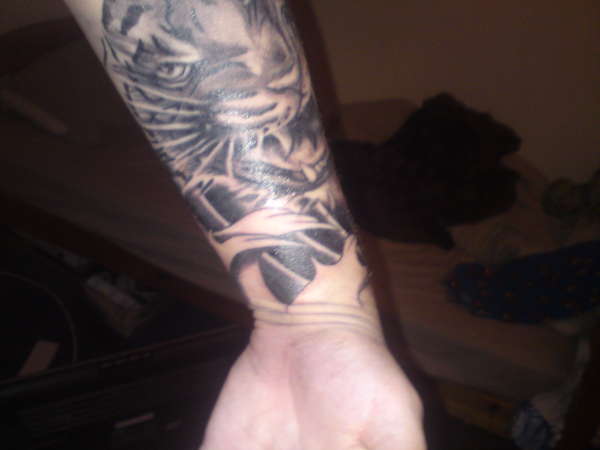 Tiger/Japanese half sleeve tattoo