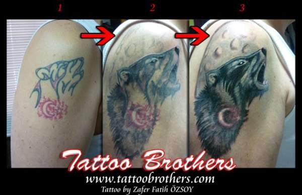 Wolf Tattoo Cover up - Kurt dovmesi kapatma tattoo
