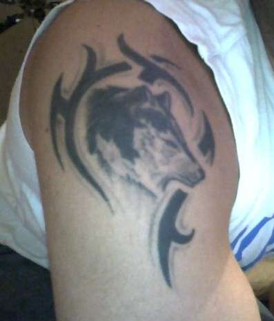 Wolf tattoo