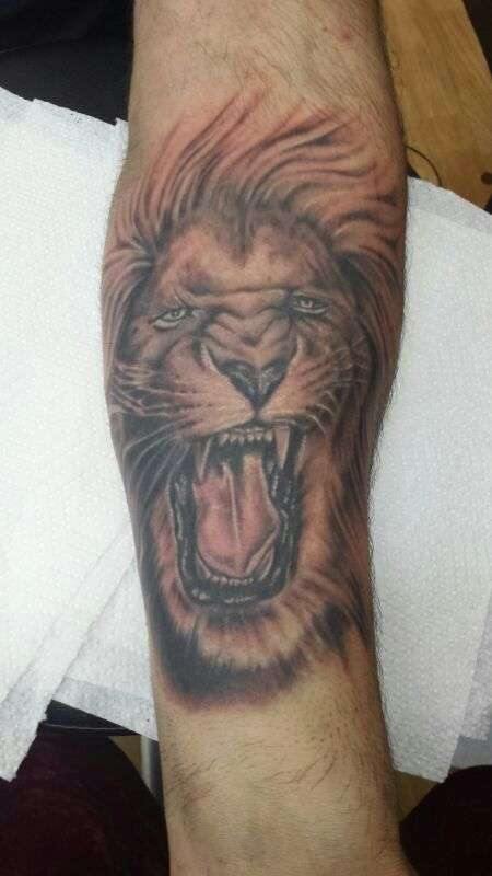 lion tatoo tattoo