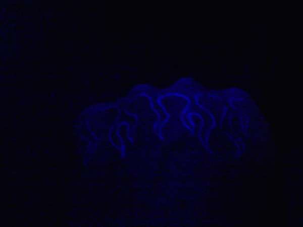 uv tattoo