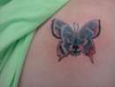 wolf butterfly tattoo