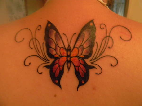 Butterfly tattoo