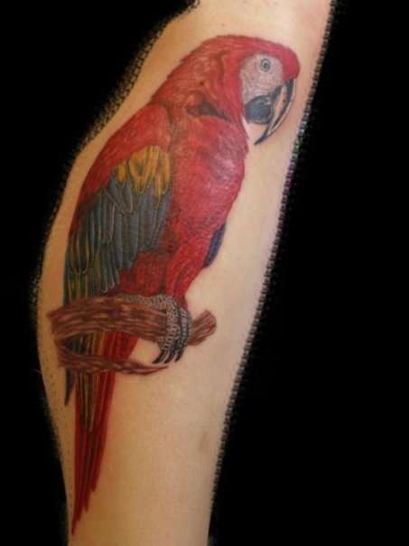 Tat I Did! tattoo