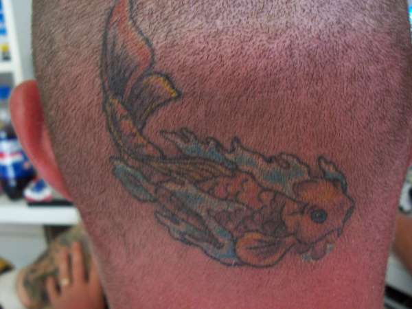 My first koi tattoo