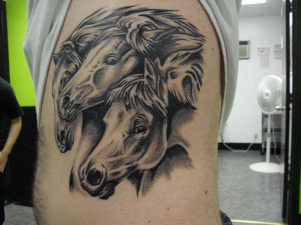 pharos horses tattoo