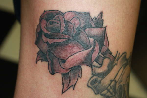 Rose tattoo