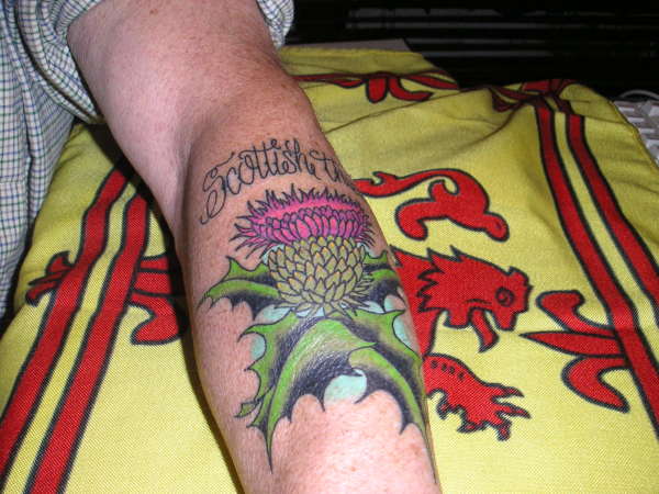 Scottish Thistle tattoo