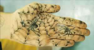 Spider Hand tattoo