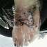 my foot.. done in june 2010 tattoo
