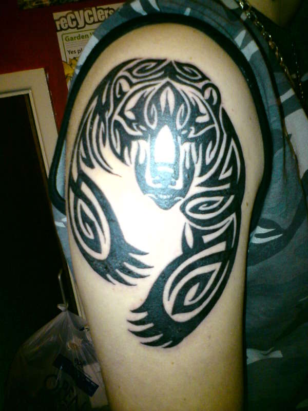tribal bear tattoo