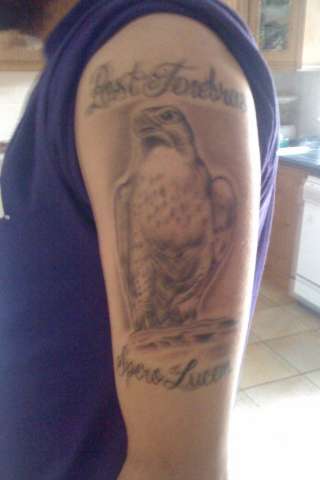 Falcon tattoo