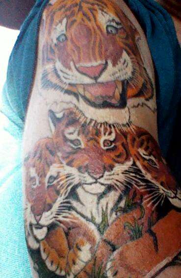 Momma tiger and her cubs tattoo