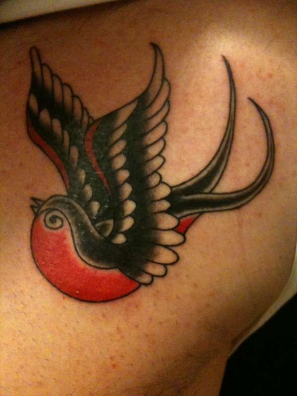 Swallow tattoo
