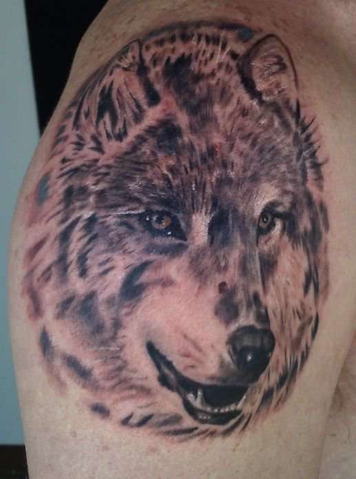 Wolf tattoo