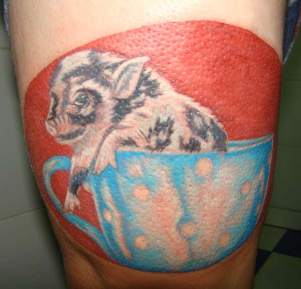 POCKET PIG IN A CUP,TOLD YA I LOVE WILDLIFE HAHAH tattoo