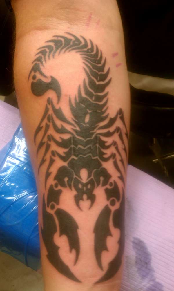scorpion tattoo