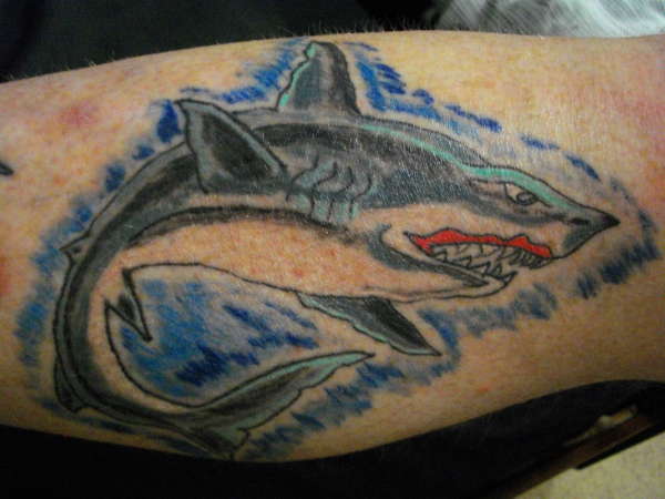 shark tattoo tattoo