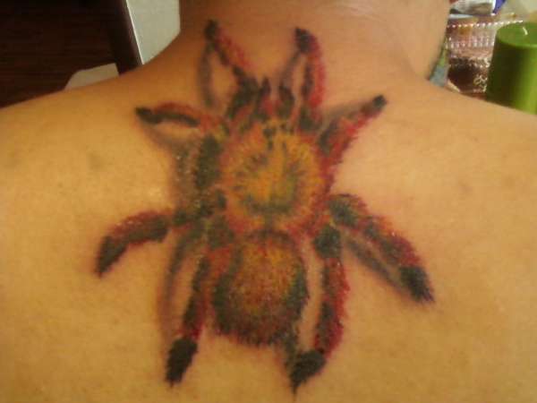 red tarantula tattoo