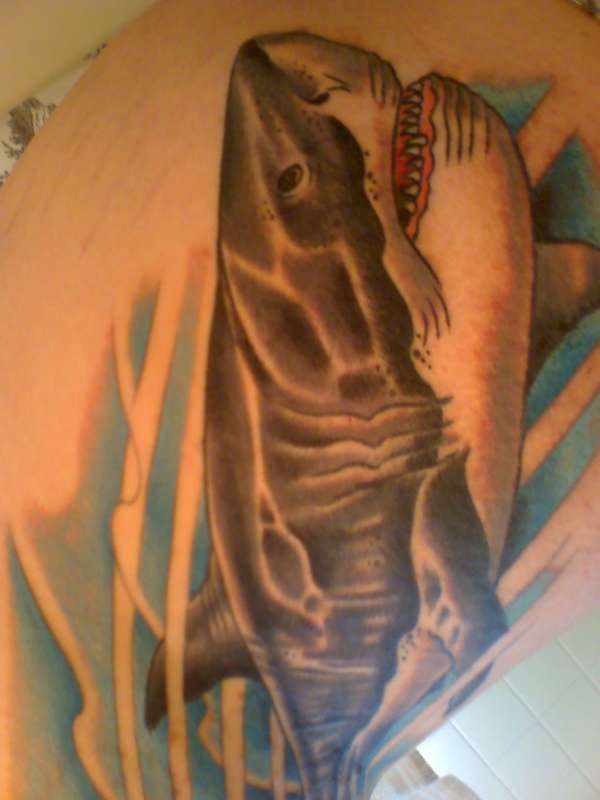 shark tat 2nd session tattoo