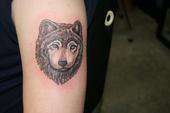 My First Wolf tattoo