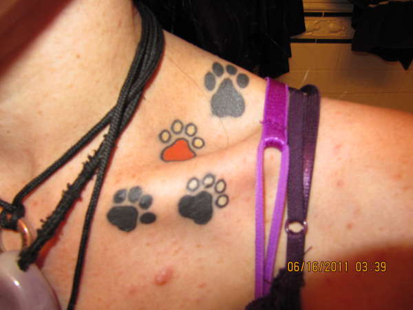 my cat's paws tattoo