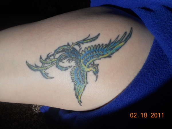 pheonix bird tattoo