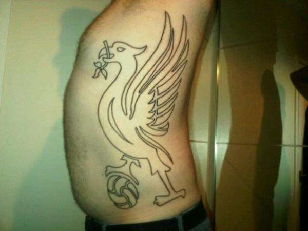 liver bird liverpool pictures to pin on pinterest tattooskid liver bird liverpool pictures to pin on pinterest tattooskid