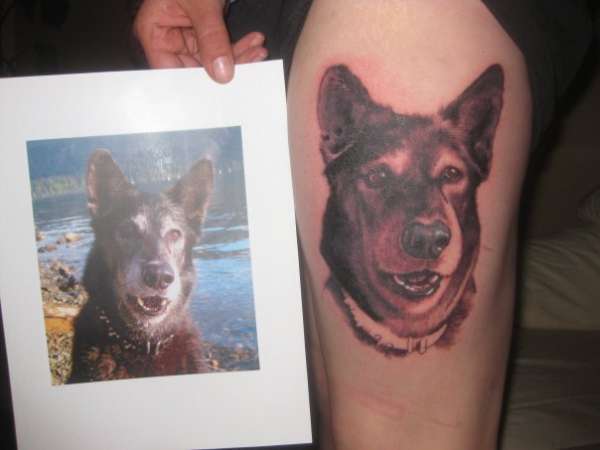 Husky Dog Portrait tattoo