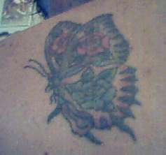 Rose Butterfly tattoo