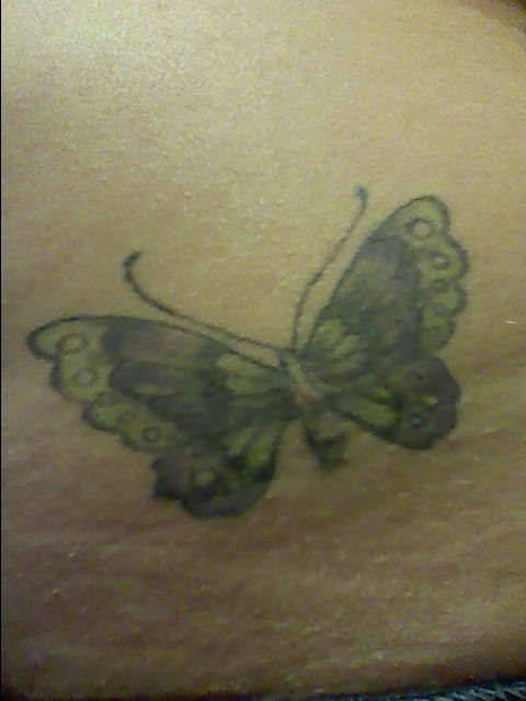 Butterfly tattoo