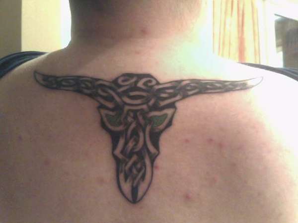 Celtic Bull tattoo