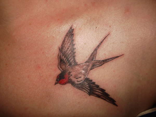 Swallow tattoo