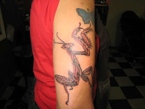 mantis tattoo