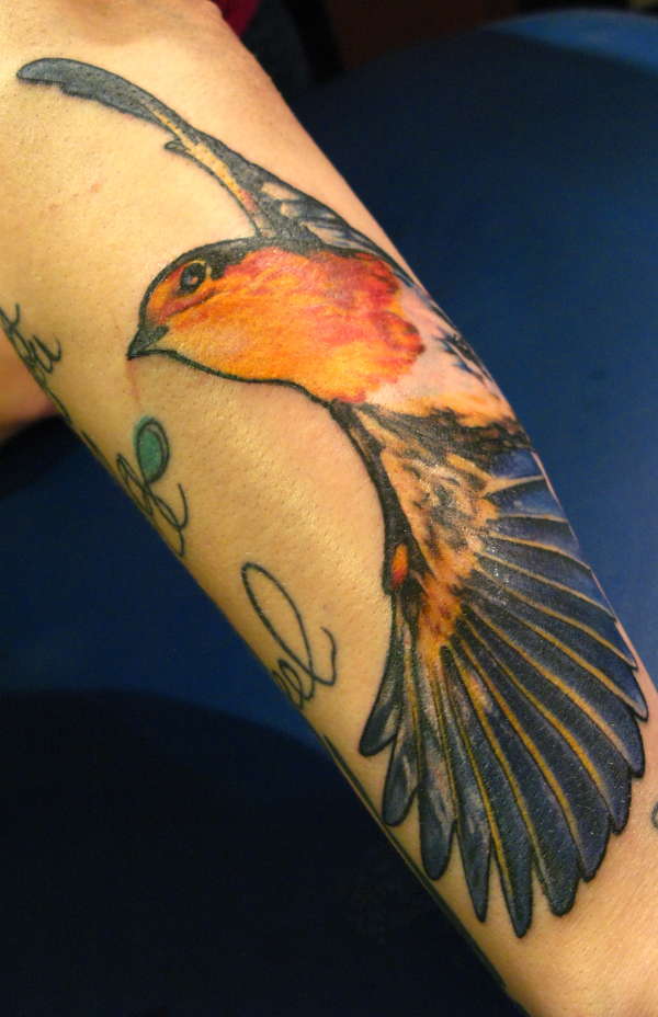 robin tattoo