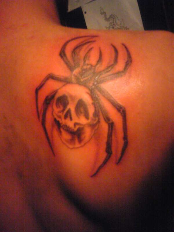 spider tattoo