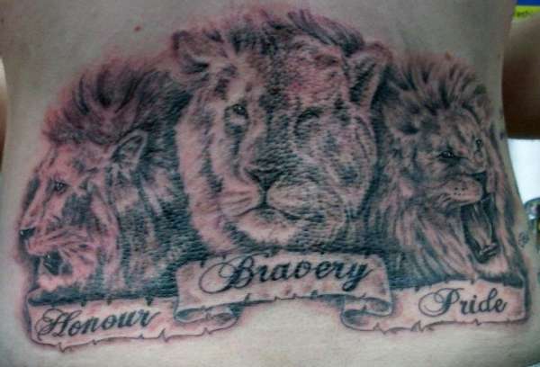 3 Lions tattoo