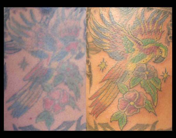 Parrot re-work tattoo