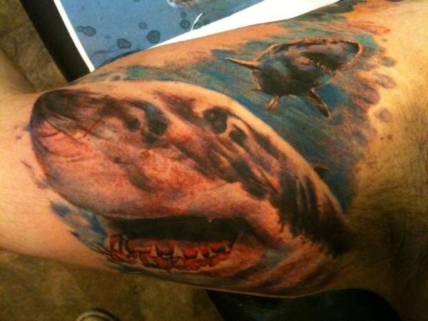 Shark Bicep tattoo