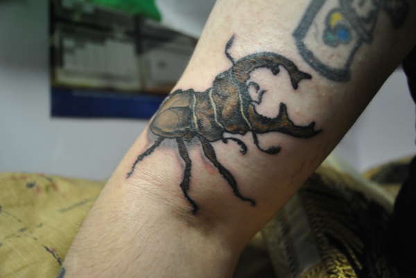 Stag Beetle tattoo