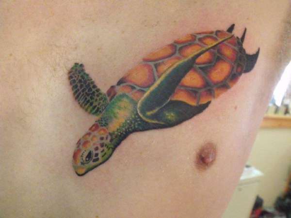 Turtle tattoo