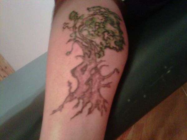 family roots tree tattoo