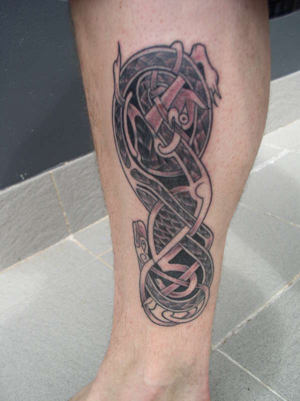 Celtic Dog and Peacock tattoo