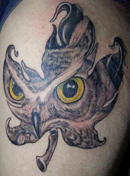 my owl tattoo