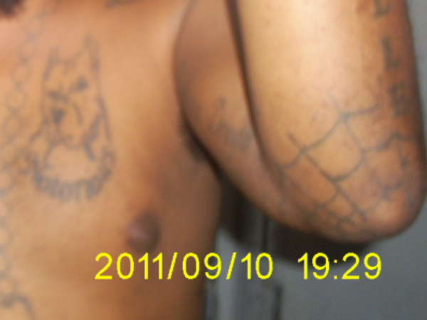 spider web tattoo