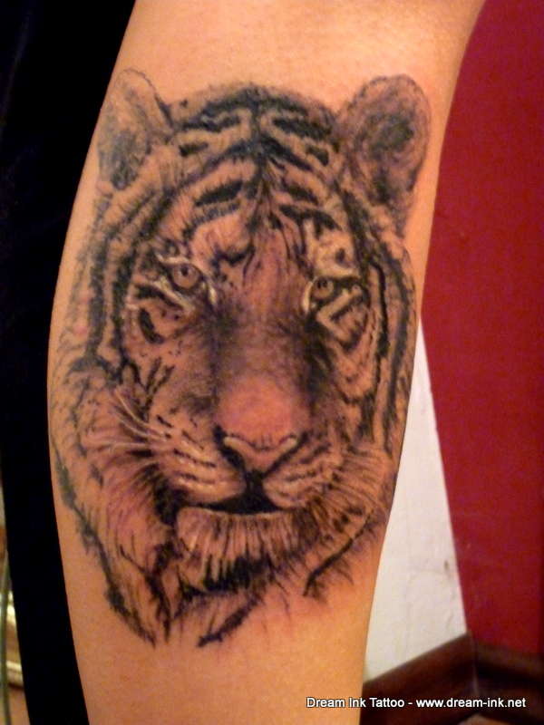 tiger tattoo