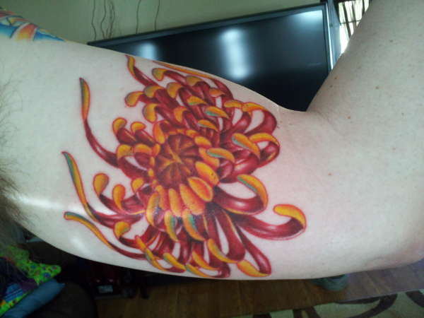 Chrysanthemum flower tattoo
