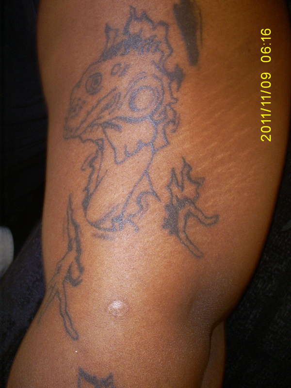 Iguana part 2 of 3 tattoo